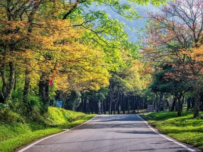 Ba Vi National Park
