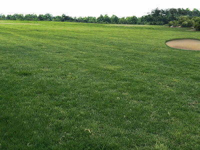 Chip Shot